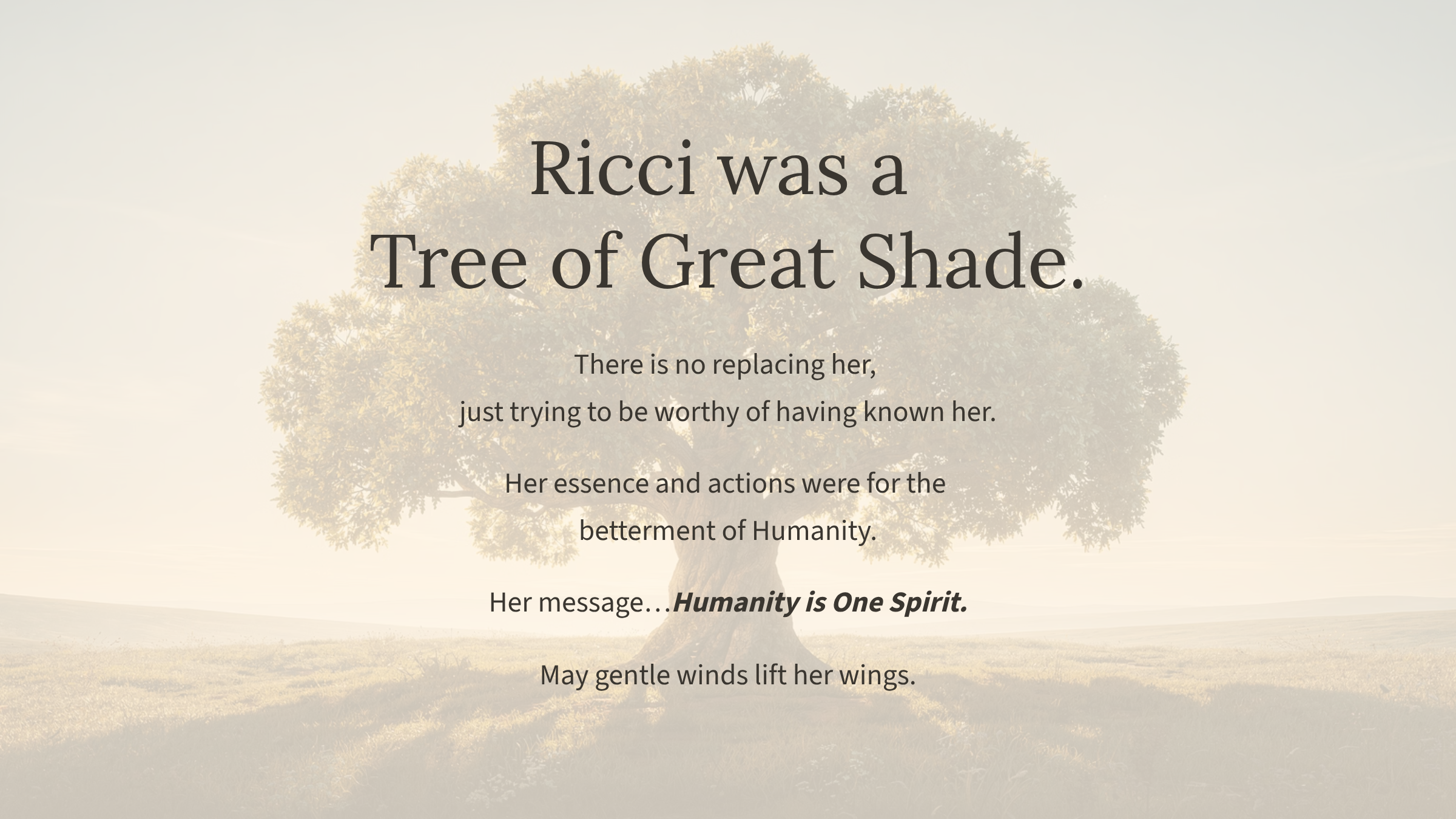 1_Ricci-was-a-Tree-of-Great-Shade